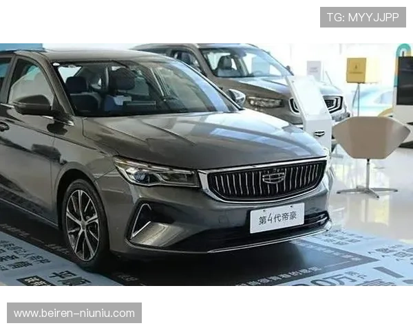 深入解析帝豪平台的优势与发展前景