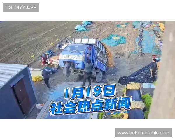 楚雄新闻频道在线直播今日热点事件追踪